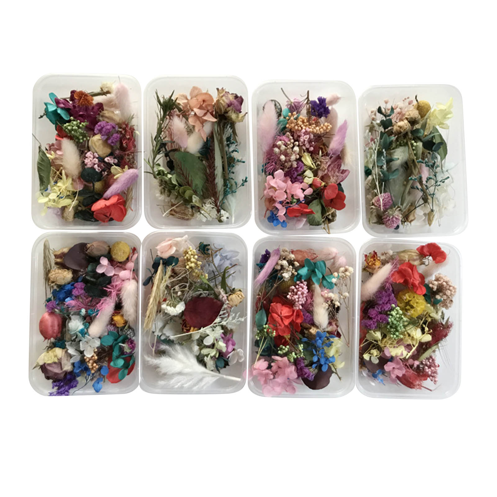 Dried Herbs - ดอกไม้แห้งธรรมชาติชุด Pressed งานศิลปะ Handcrafts ใบสมุนไพร DIY