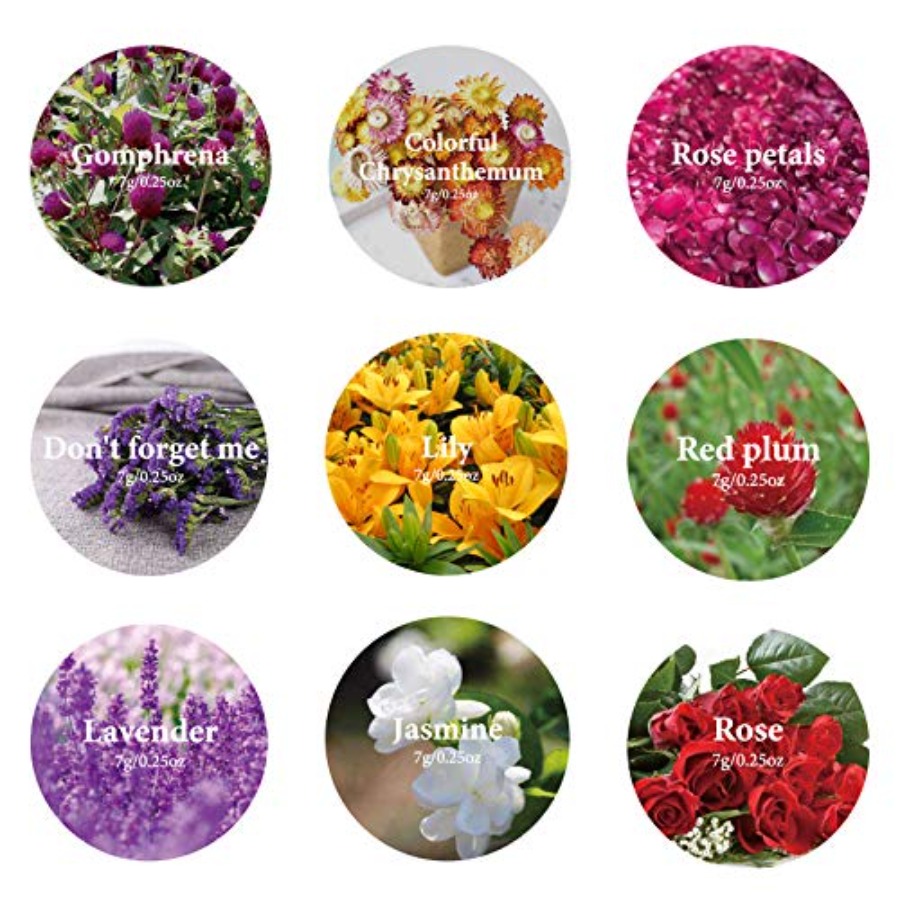 ดอกไม้แห้ง 9 ถุง ชุดสมุนไพรดอก - Dried Herbs บทวิจารณ์และราคา