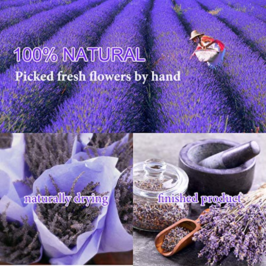 ดอกไม้แห้ง 9 ถุง ชุดสมุนไพรดอก - Dried Herbs บทวิจารณ์และราคา